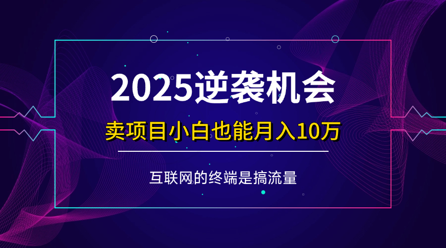 （14122期）项目标题：2025逆袭机会，卖项目小白也能轻松月入10万+